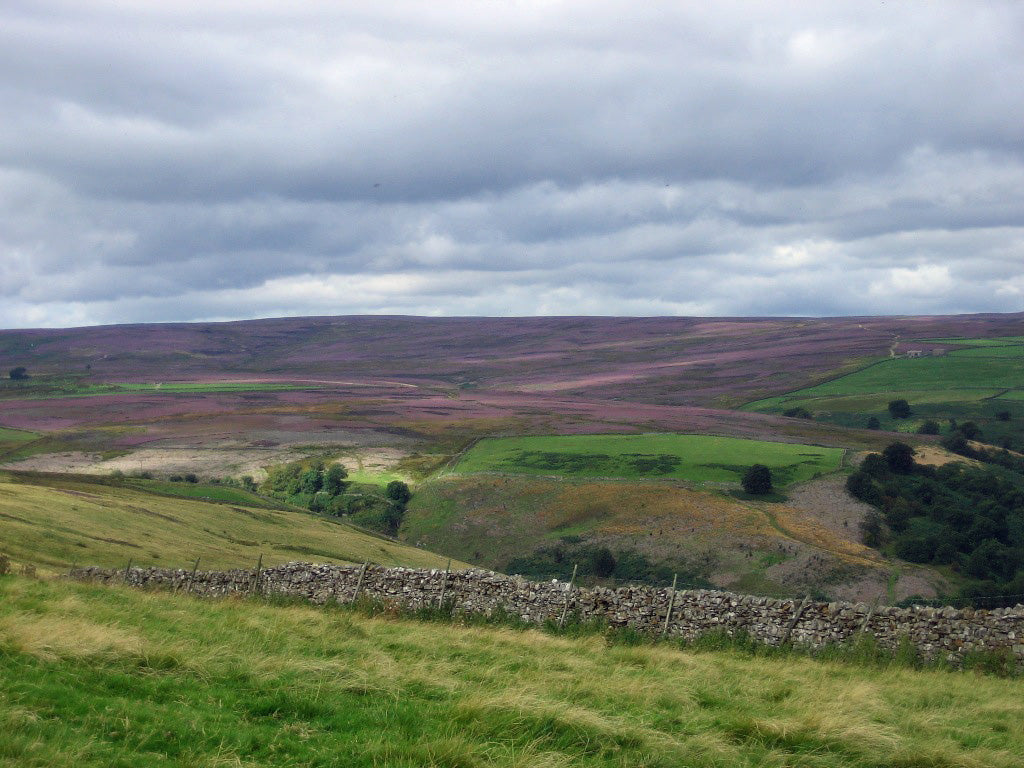 Something New : Letters to Britain