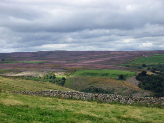 Something New : Letters to Britain