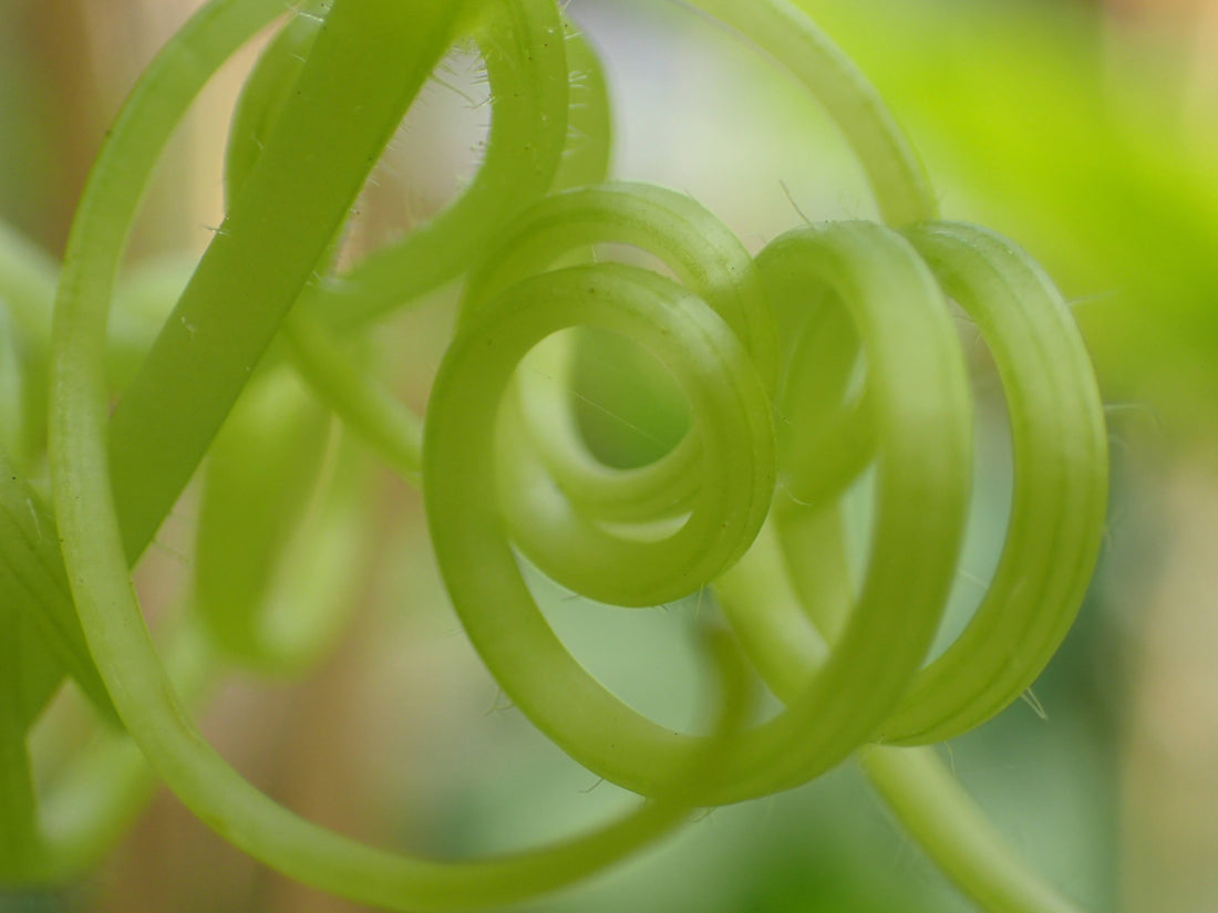 Inspiration : Art & Photography Process