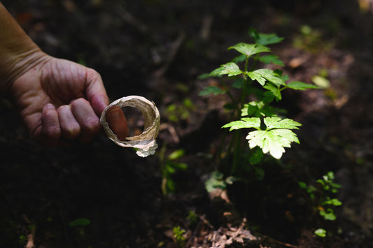 Behind the Scenes : Nature