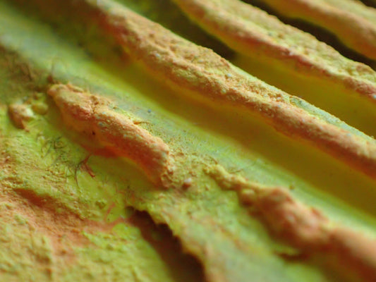 Why I love texture in a painting