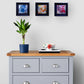 TRIPTYCH of original paintings | 'Blooms of Joy' | 'Message in a Bottle | 'Myth & Magic'